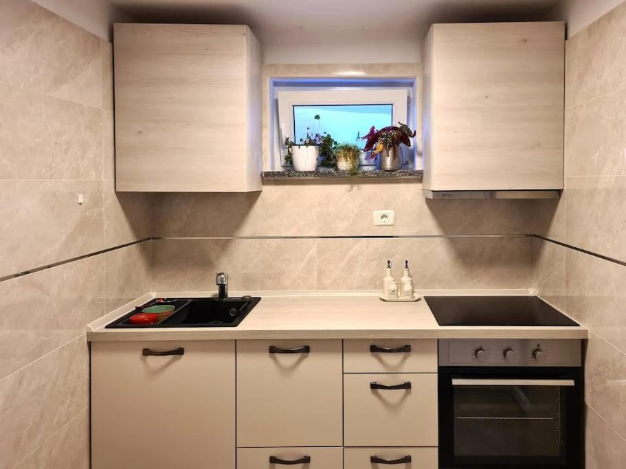 Hisa Idej Apartment Sezana Ngoại thất bức ảnh